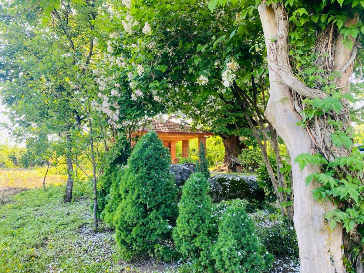 Guesthouse Kamelia 마트빌 외부 사진