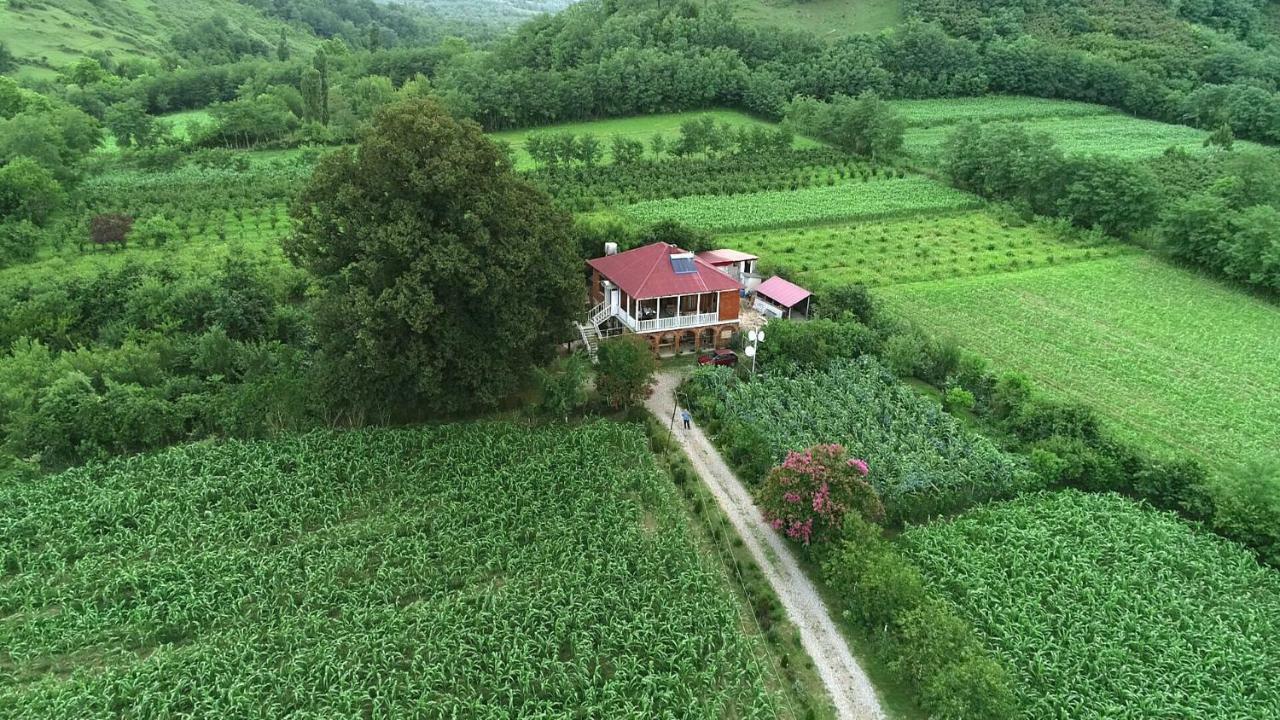 Guesthouse Kamelia 마트빌 외부 사진