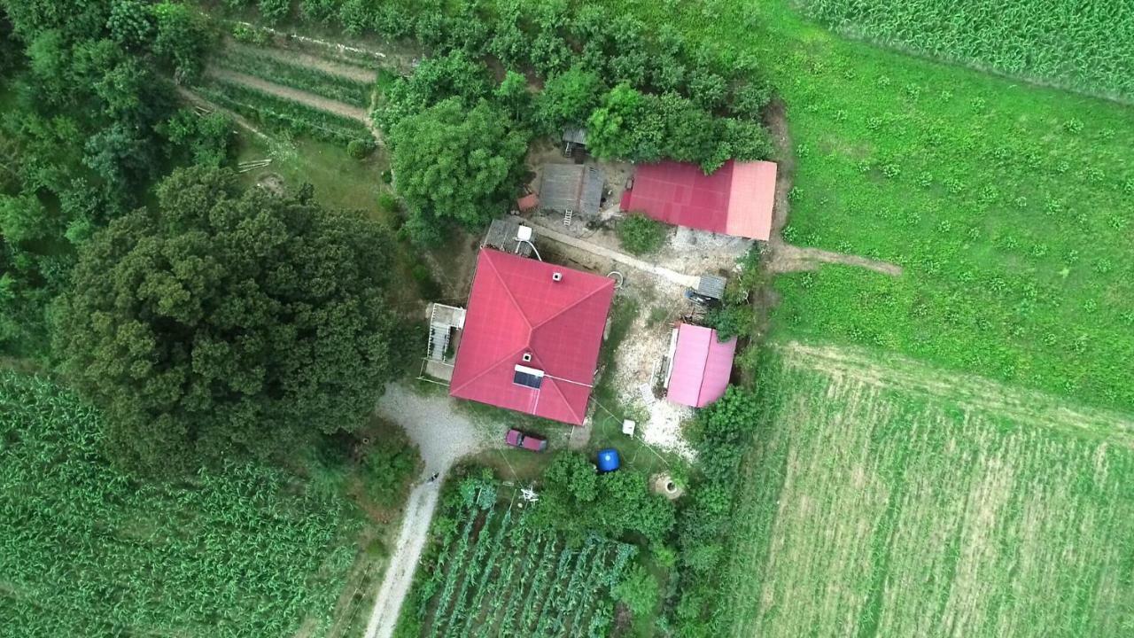 Guesthouse Kamelia 마트빌 외부 사진