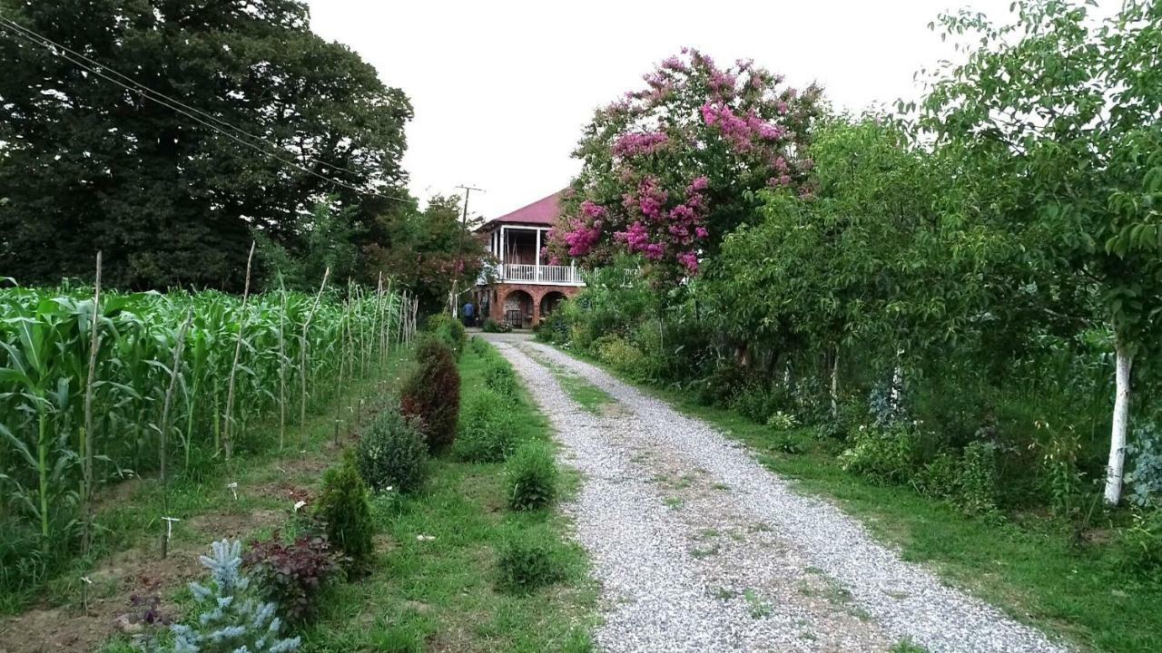 Guesthouse Kamelia 마트빌 외부 사진